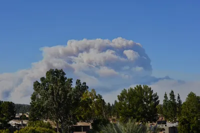 DSC_5599 (Large).JPG